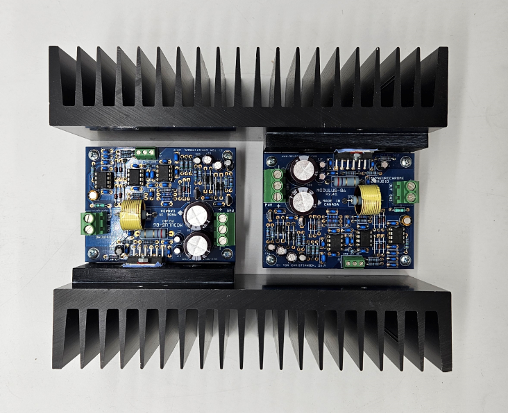 NEUROCHROME MODULUS-86 STEREO (2 MODULES) KIT ASSEMBELED WITH COOLING SINK