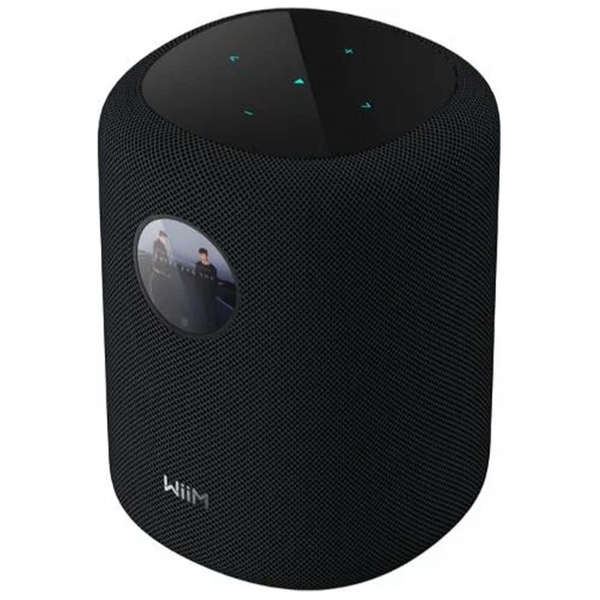 WIIM SOUND DISPLAY CONNECTED SPEAKER BLACK (UNIT)