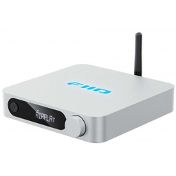 [AUD2208] FIIO SR11 STREAMER SREBRNI